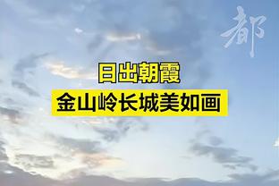 日本队门将：铃木彩艳在很多方面做得很好，第一个丢球不是失误